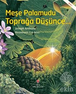 Meşe Palamudu Toprağa Düşünce...