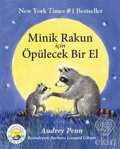 Minik Rakun İçin Öpülecek Bir El