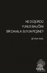 Ne Düşürdü Yunus Balığını Bir Damla Suyun Peşine?