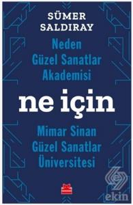 Neden Güzel Sanatlar Akademisi Ne İçin Mimar Sinan