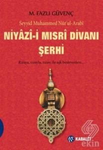 Niyazi-i Mısri Divanı Şerhi