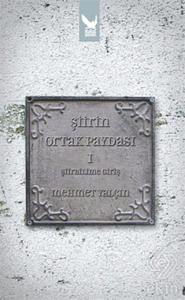 Şiirin Ortak Paydası 1 - Şiirbilime Giriş