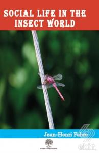 Social Life in the Insect World