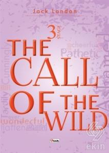 The Call Of The Wild Stage 3