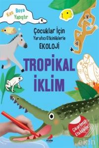 Tropikal İklim - Çocuklar İçin Yaratıcı Etkinlikle
