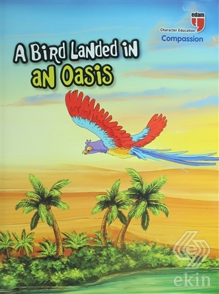 A Bird Landed İn An Oasis - Compassion; Stories Wi