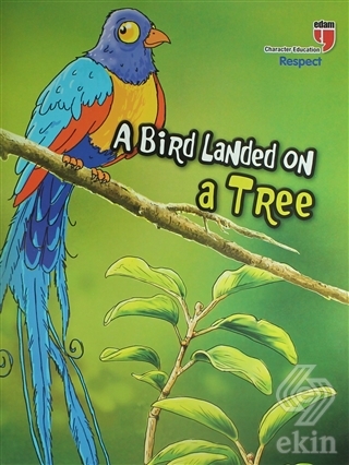 A Bird Landed On A Tree - Respect; Stories With Th
