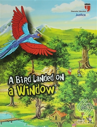 A Bird Landed On a Window