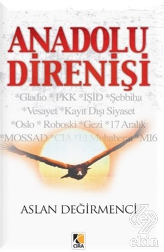 Anadolu Direnişi