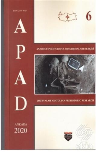 APAD 2020 Cilt 6