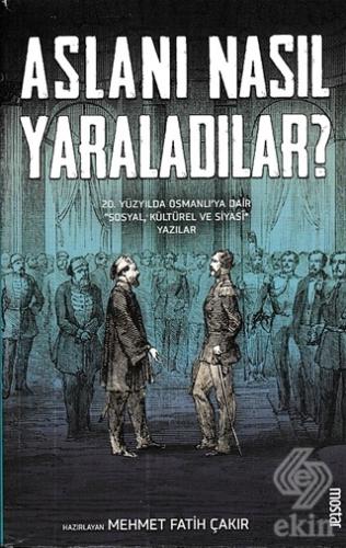 Aslanı Nasıl Yaraladılar?