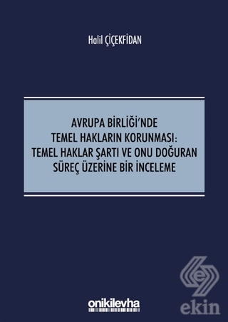 Avrupa Birliği'nde Temel Hakların Korunması: Temel