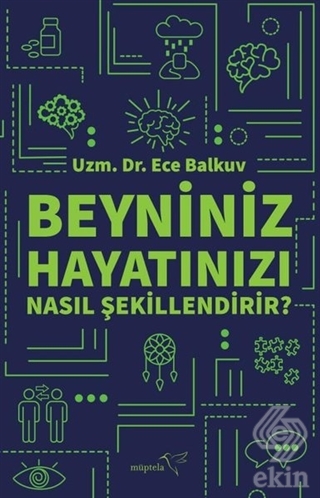Beyniniz Hayatınızı Nasıl Şekillendirir?