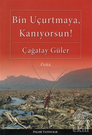 Bin Uçurtmaya, Kanıyorsun!