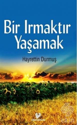 Bir Irmaktır Yaşamak