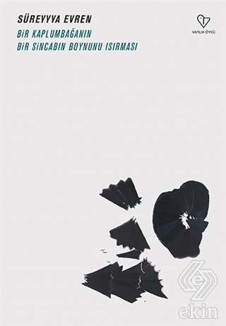 Bir Kaplumbağanın Bir Sincabın Boynunu Isırması