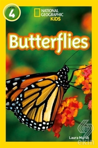 Butterflies: Level 4