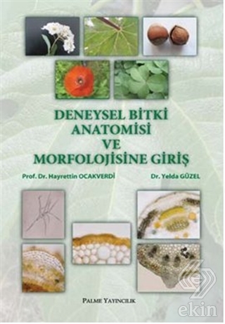 Deneysel Bitki Anatomisi ve Morfolojisine Giriş
