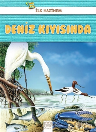 Deniz Kıyısında - İlk Hazinem