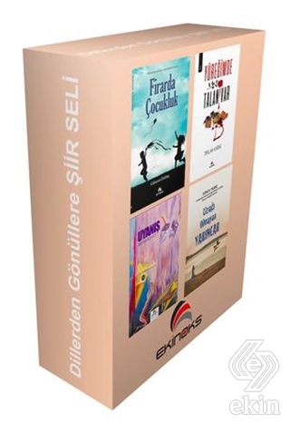Dillerden Gönüllere Şiir Seli (4 Kitap Takım)