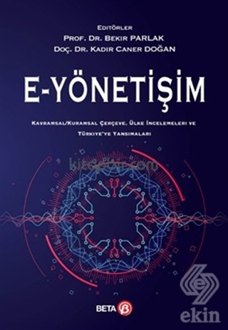 E - Yönetişim