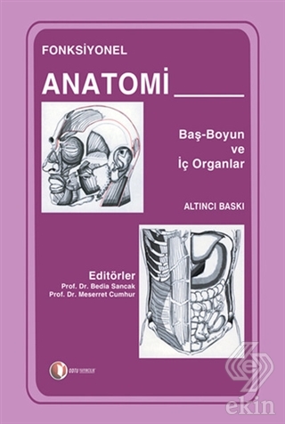 Fonksiyonel Anatomi