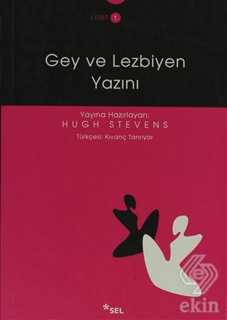 Gey ve Lezbiyen Yazını