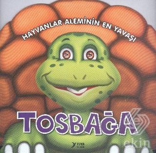 Hayvanlar Aleminin En Yavaşı : Tosbağa