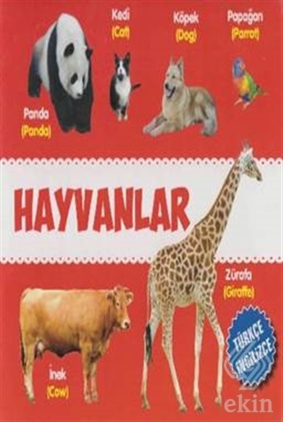 Hayvanlar Türkçe-İngilizce