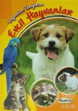 Hayvanları Tanıyorum - Evcil Hayvanlar