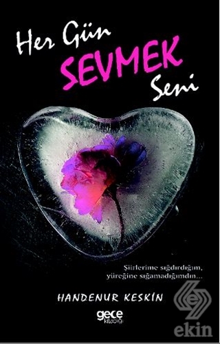 Her Gün Sevmek Seni
