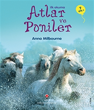 İlk Okuma - Atlar ve Poniler