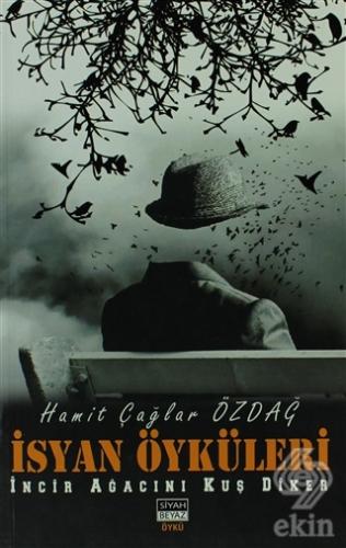 İsyan Öyküleri
