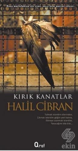 Kırık Kanatlar