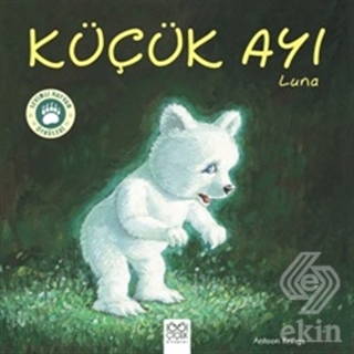 Küçük Ayı Luna