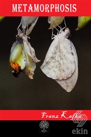 Metamorphosis