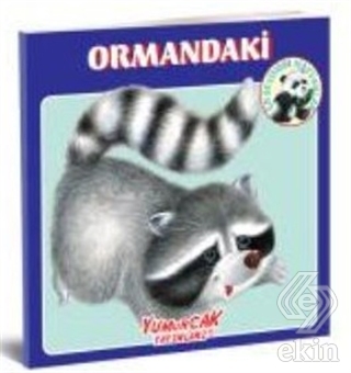 Ormandaki En Sevdiğim Hayvanlar Kitabı
