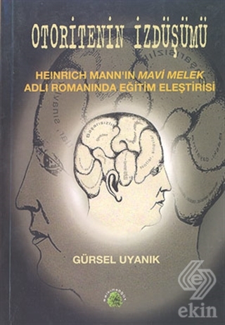 Otoritenin İzdüşümü