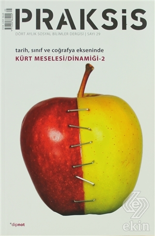 Praksis Sayı : 29
