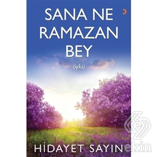 Sana Ne Ramazan Bey