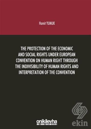 The Protection Of The Economic And Social Rights U