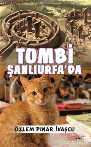 Tombi Şanlıurfa\'da