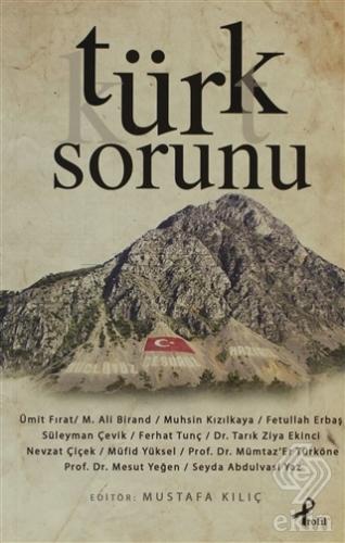 Türk Sorunu