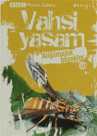Vahşi Yaşam 2 - Alışılmadık Böcekler
