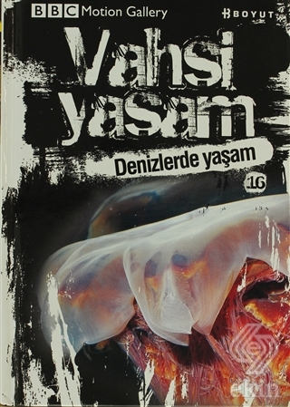 Vahşi Yaşam 2 - Denizlerde Yaşam