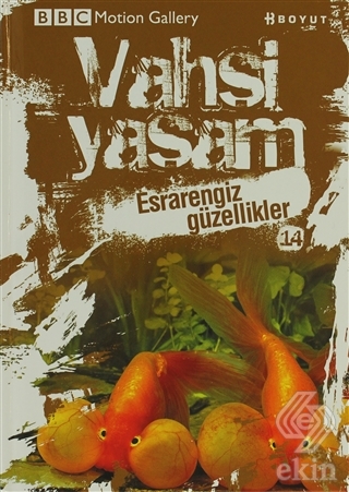 Vahşi Yaşam 2 - Esrarengiz Güzellikler