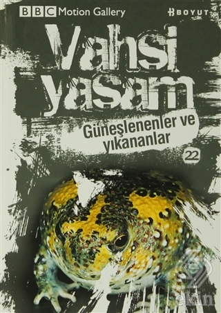 Vahşi Yaşam 2 - Güneşlenenler ve Yıkananlar
