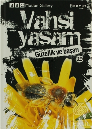 Vahşi Yaşam 2 - Güzellik ve Başarı