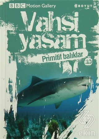 Vahşi Yaşam 2 - Primitif Balıklar