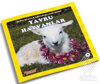 Yavru Hayvanlar - Benim Hayvan Arkadaşlarım Dizisi